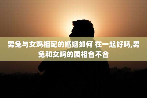 男兔与女鸡相配的婚姻如何 在一起好吗,男兔和女鸡的属相合不合