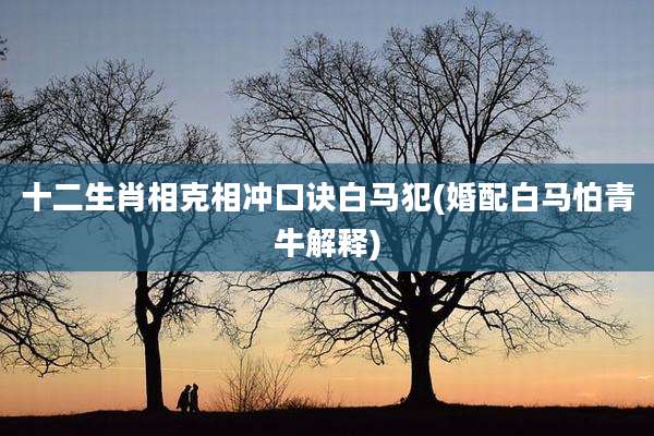 十二生肖相克相冲口诀白马犯(婚配白马怕青牛解释)