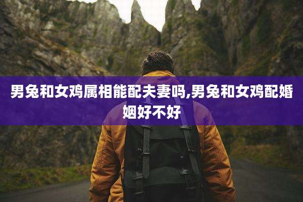 男兔和女鸡属相能配夫妻吗,男兔和女鸡配婚姻好不好