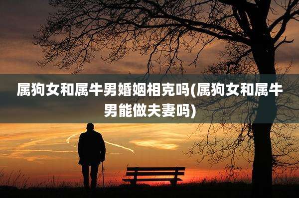 属狗女和属牛男婚姻相克吗(属狗女和属牛男能做夫妻吗)