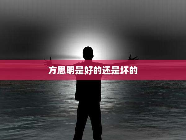 方思明是好的还是坏的