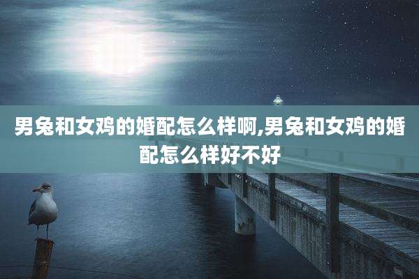 男兔和女鸡的婚配怎么样啊,男兔和女鸡的婚配怎么样好不好