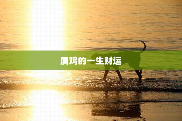 属鸡的一生财运