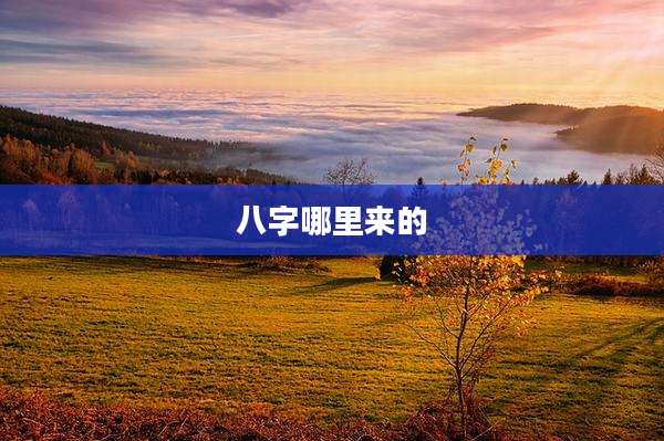 八字哪里来的
