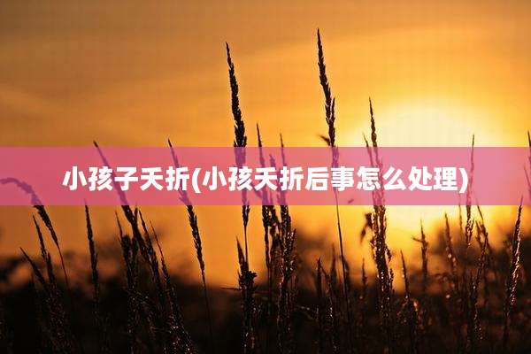 小孩子夭折(小孩夭折后事怎么处理)