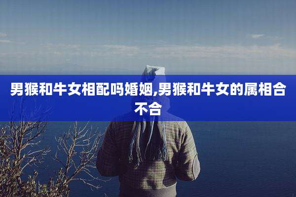 男猴和牛女相配吗婚姻,男猴和牛女的属相合不合