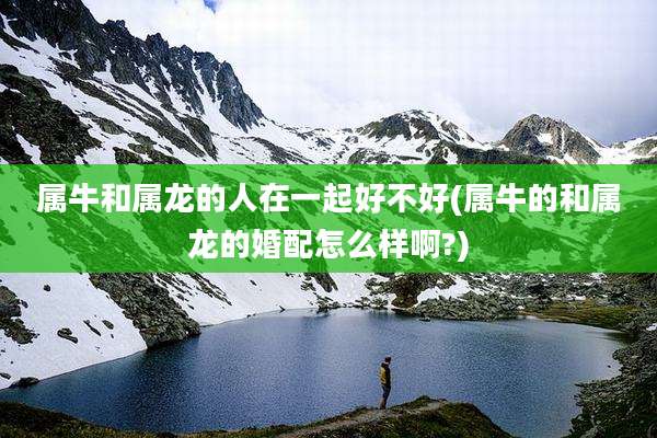 属牛和属龙的人在一起好不好(属牛的和属龙的婚配怎么样啊?)