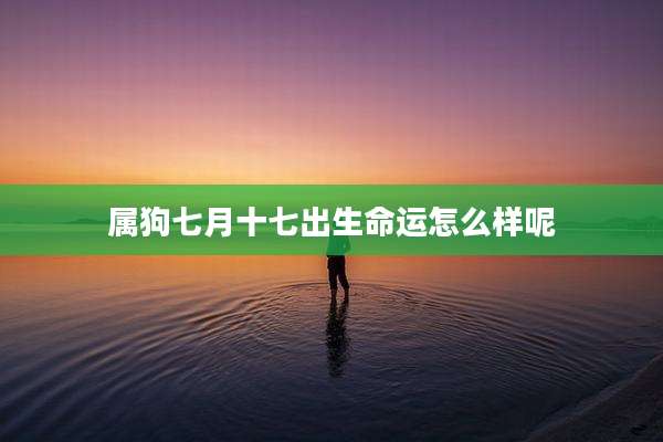 属狗七月十七出生命运怎么样呢