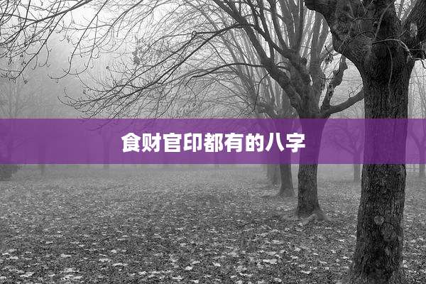 食财官印都有的八字