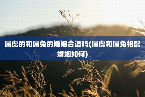 属虎的和属兔的婚姻合适吗(属虎和属兔相配婚姻如何)