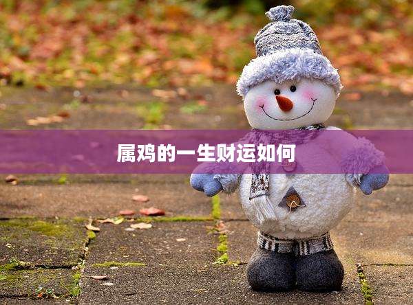 属鸡的一生财运如何