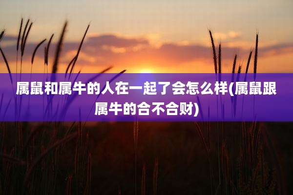 属鼠和属牛的人在一起了会怎么样(属鼠跟属牛的合不合财)