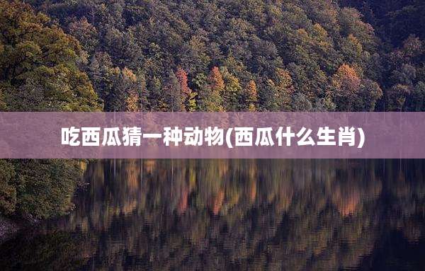 吃西瓜猜一种动物(西瓜什么生肖)