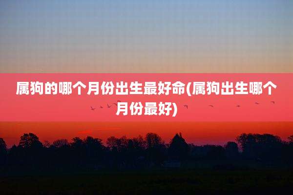 属狗的哪个月份出生最好命(属狗出生哪个月份最好)