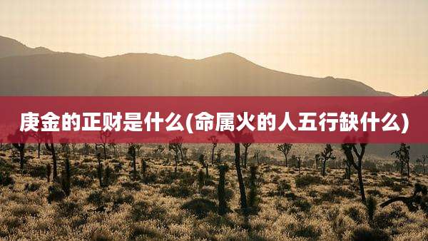 庚金的正财是什么(命属火的人五行缺什么)