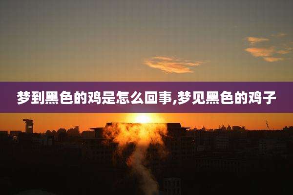 梦到黑色的鸡是怎么回事,梦见黑色的鸡子