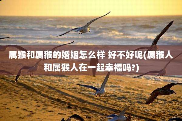 属猴和属猴的婚姻怎么样 好不好呢(属猴人和属猴人在一起幸福吗?)