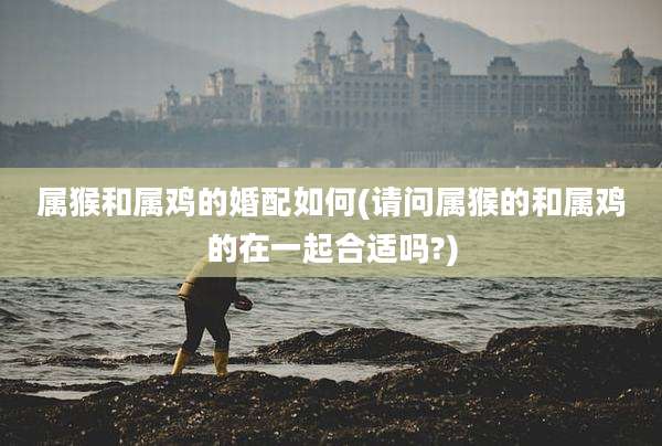 属猴和属鸡的婚配如何(请问属猴的和属鸡的在一起合适吗?)