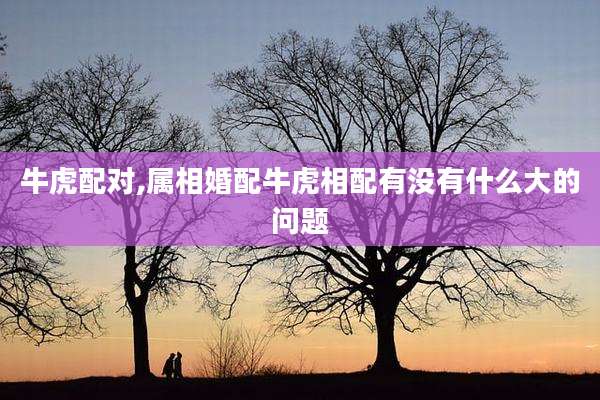 牛虎配对,属相婚配牛虎相配有没有什么大的问题