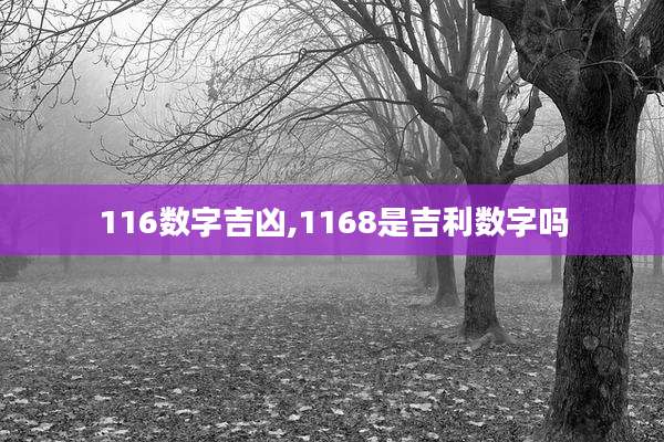 116数字吉凶,1168是吉利数字吗