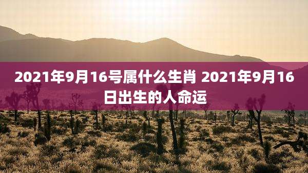 2021年9月16号属什么生肖 2021年9月16日出生的人命运