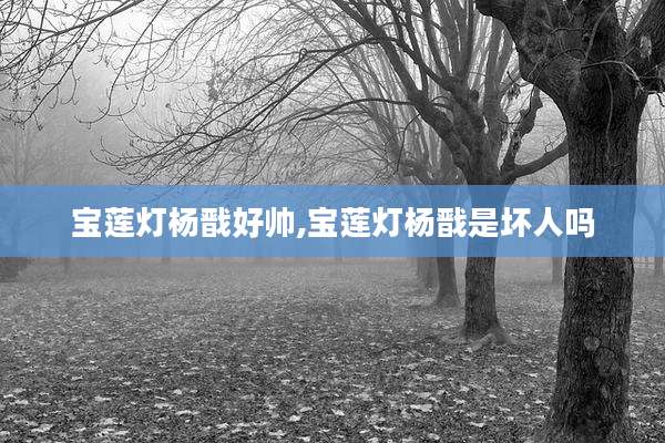 宝莲灯杨戬好帅,宝莲灯杨戬是坏人吗