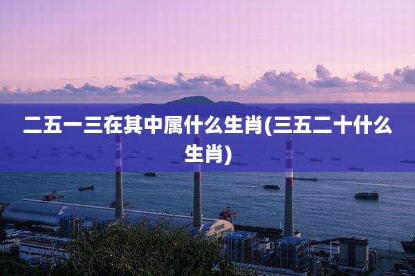 二五一三在其中属什么生肖(三五二十什么生肖)