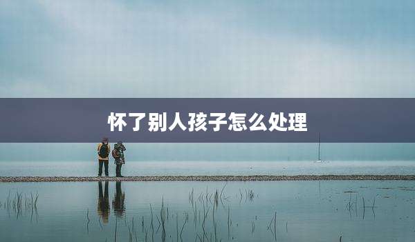 怀了别人孩子怎么处理