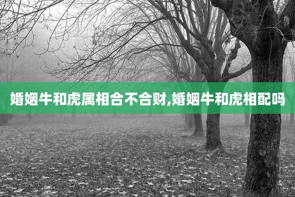 婚姻牛和虎属相合不合财,婚姻牛和虎相配吗