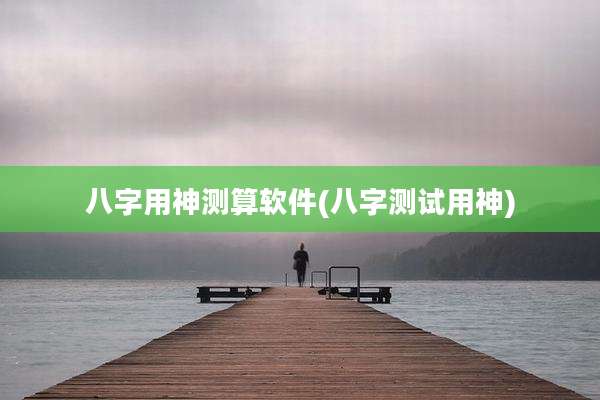 八字用神测算软件(八字测试用神)