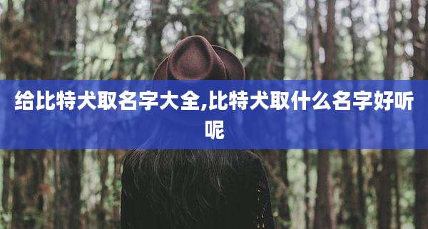 给比特犬取名字大全,比特犬取什么名字好听呢