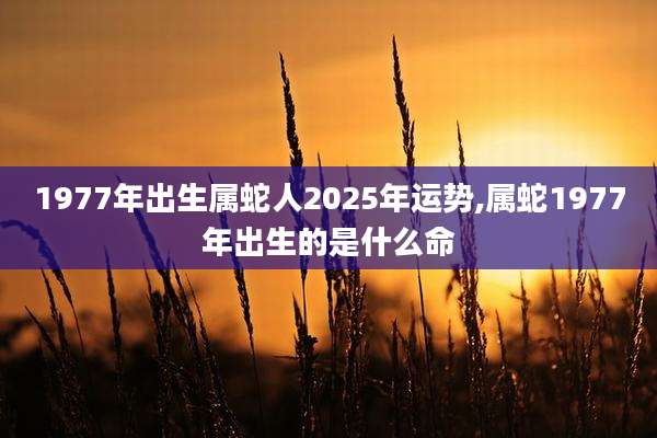 1977年出生属蛇人2025年运势,属蛇1977年出生的是什么命