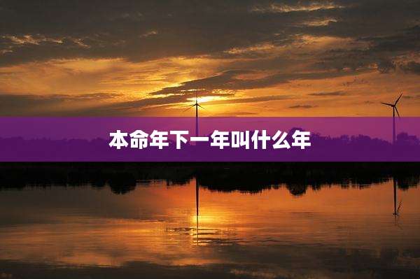 本命年下一年叫什么年