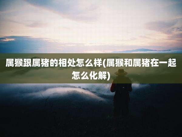 属猴跟属猪的相处怎么样(属猴和属猪在一起怎么化解)