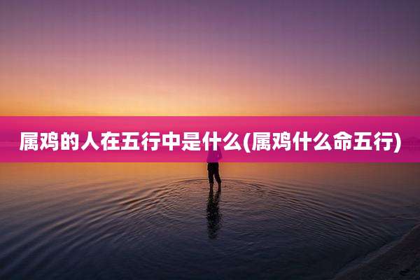 属鸡的人在五行中是什么(属鸡什么命五行)