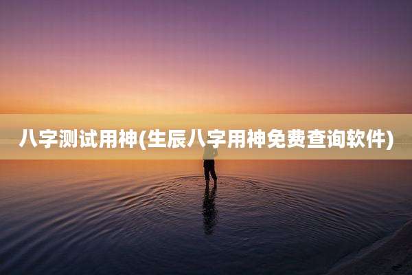 八字测试用神(生辰八字用神免费查询软件)