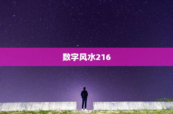 数字风水216