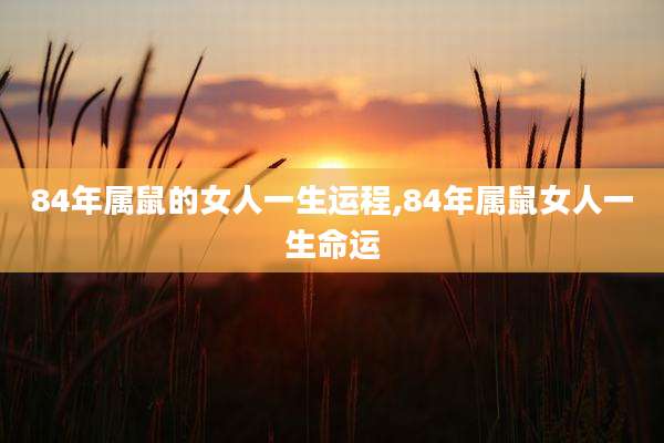 84年属鼠的女人一生运程,84年属鼠女人一生命运