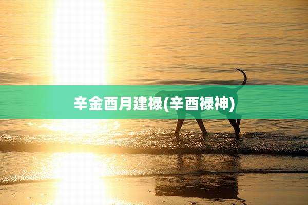辛金酉月建禄(辛酉禄神)
