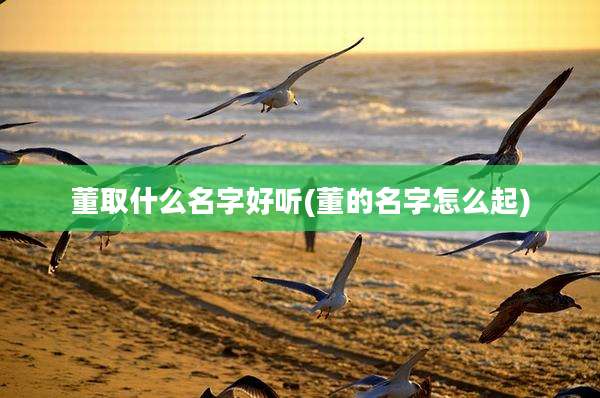 董取什么名字好听(董的名字怎么起)