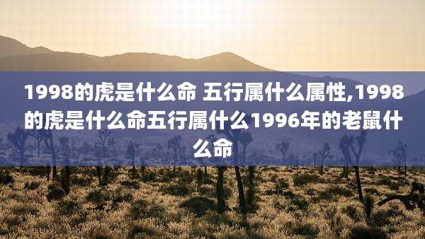 1998的虎是什么命 五行属什么属性,1998的虎是什么命五行属什么1996年的老鼠什么命