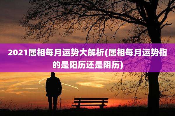2021属相每月运势大解析(属相每月运势指的是阳历还是阴历)