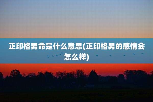 正印格男命是什么意思(正印格男的感情会怎么样)