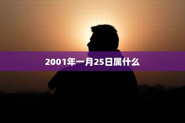 2001年一月25日属什么