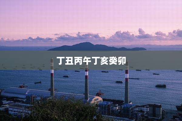 丁丑丙午丁亥癸卯