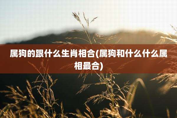 属狗的跟什么生肖相合(属狗和什么什么属相最合)
