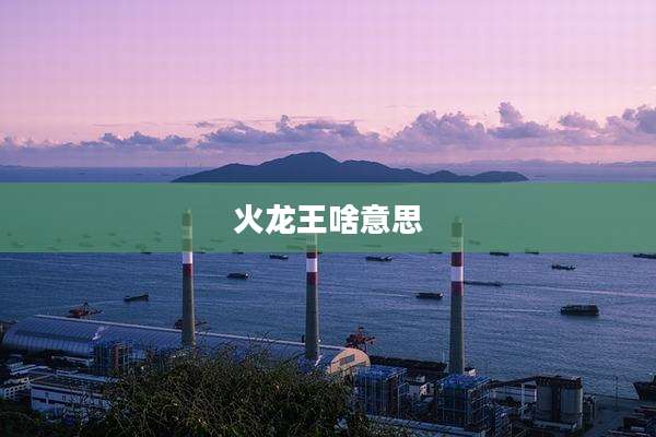 火龙王啥意思