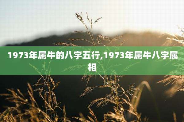 1973年属牛的八字五行,1973年属牛八字属相