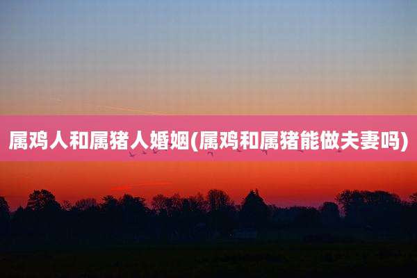 属鸡人和属猪人婚姻(属鸡和属猪能做夫妻吗)