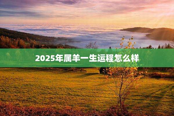 2025年属羊一生运程怎么样